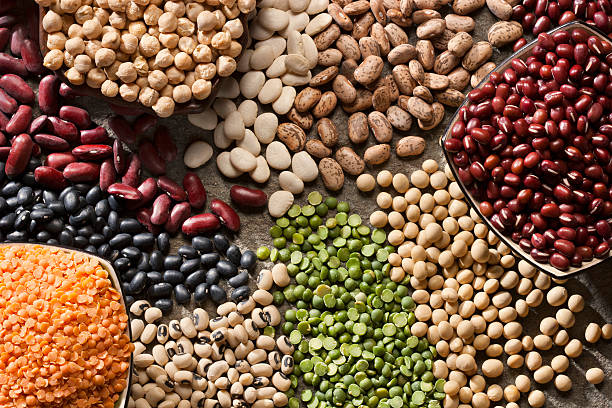 Piles of a variety of healthy organic legumes.